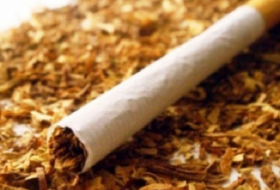 Tütünün satınalma qiyməti artırılacaq